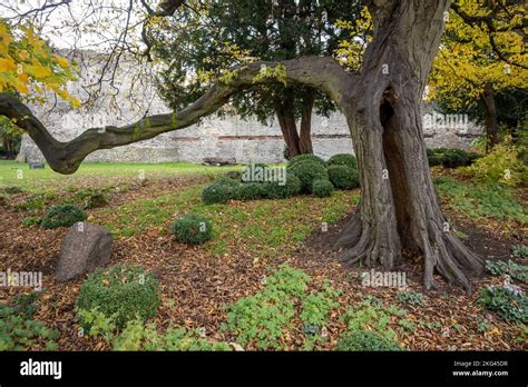 Museum Gardens in York Stock Photo - Alamy