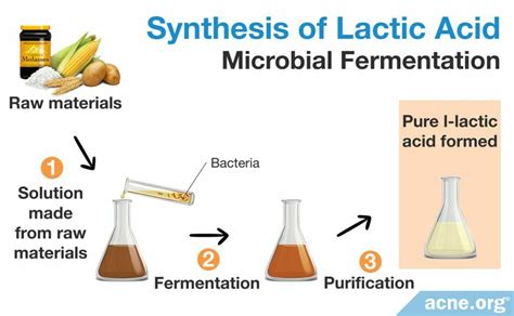 What Is The Chemical Structure Of Lactic Acid And Lactate And How Is