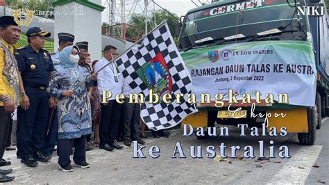 Ekspor Rajangan Daun Talas UMKM Kabuh Ke Australia YouTube