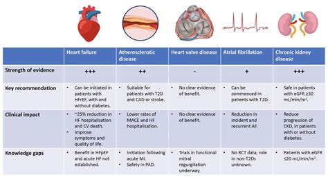 Case Study Role Of Sodium Glucose Cotransporter Inhibitors Off