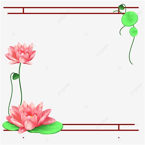 Lotus Border White Transparent Lotus Border Plant Lotus Flower