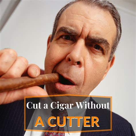 Top 17 Best Cigar Brands Of 2023 Rated Aficionados Best Cigars In The