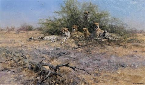 David Shepherd Cheetah For Sale At 1stdibs