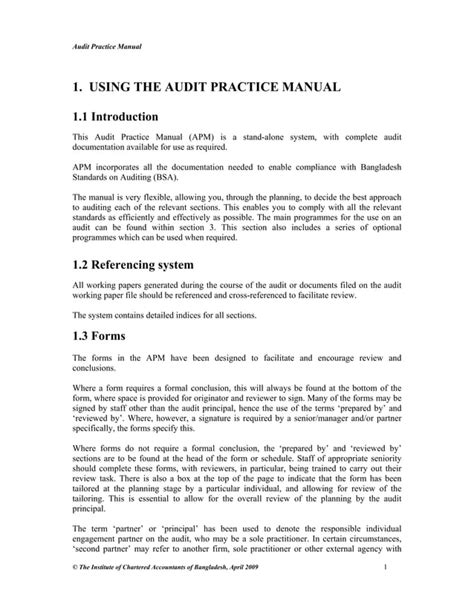 Audit Practice Manual Pdf