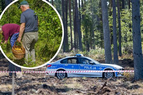 Przeginia Makabryczne odkrycie za kościołem W lesie znaleziono