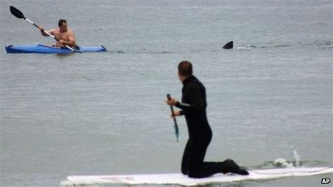 Us Kayakers Close Encounter With Great White Shark Bbc News