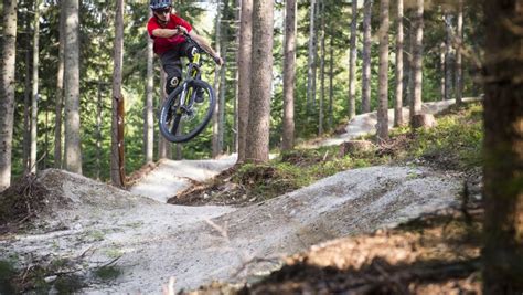 Wexl Trails Mountain Biking