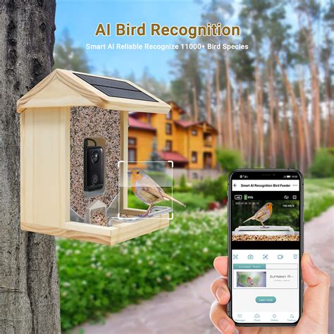 WBF02 Smart Bird Feeder With Wi Fi Camera Smart Bird Feeder With Wi Fi