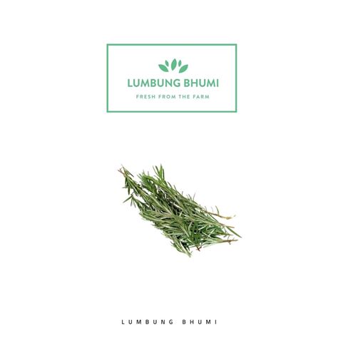 Jual Lumbung Bhumi Rosemary Gr Sayur Curah Shopee Indonesia