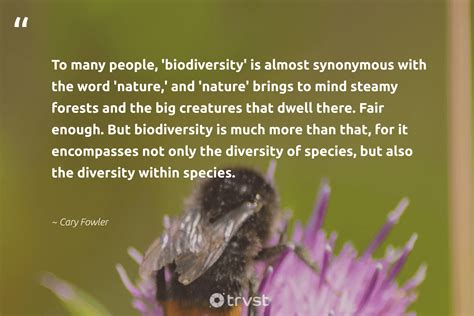 28 Biodiversity Quotes. Famous Sayings and Quotes about Biodiversity.