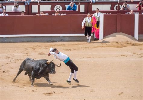 The different types of passes and techniques used by bullfighters in ...