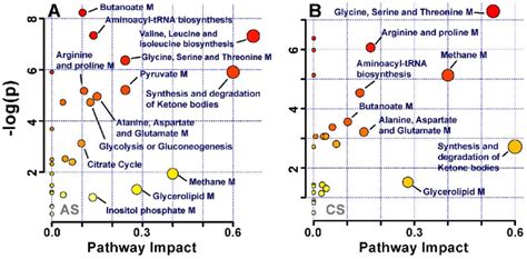 Pathway Analysis Of Identified Metabolites In The Different Groups