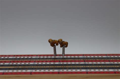 Lion Cribbage Pegs Krazy Kustom Cribbage Pegs Since 2016