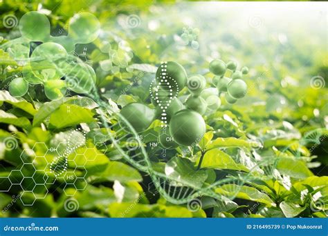 Biology Nature And Science Plants With Biochemistry Structure On Green