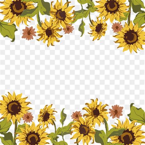 Sunflower png border, transparent background | Premium PNG - rawpixel