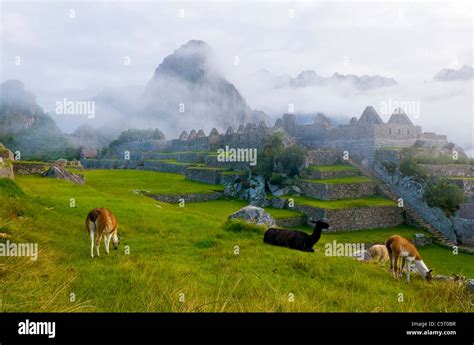 View Of The Archeological Site Of Machu Pichu In Peru Stock Photo Alamy