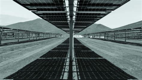 Bifacial Beats Trumps Tariffs Pv Magazine International
