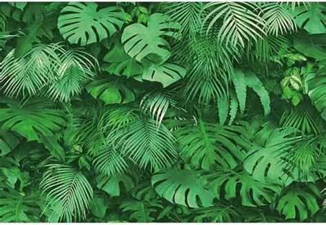 Amazon Green Tropical Green Leaves Photo Background For Wedding