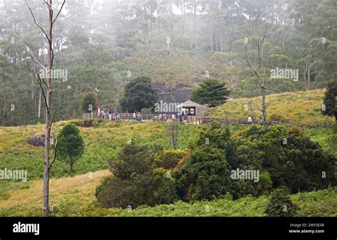 Hiking Trail In Eravikulam National Park Kannan Devan Hills Munnar