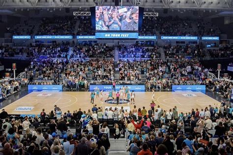 Wnbl Attendance Record Broken At Melbournes John Cain Arena