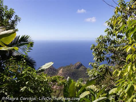 Hiking on Saba: Your Guide to 17 Stunning Trails | Life On The Roam