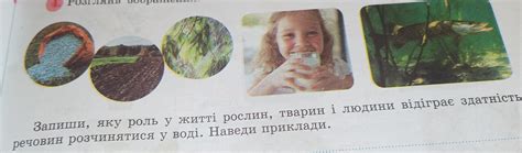 Помогите пажалуйстааааа.Запиши, яку роль у житті рослин, тварин, і ...