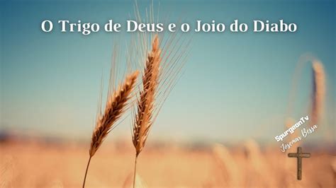 O Trigo De Deus E O Joio Do Diabo Josemar Bessa Youtube