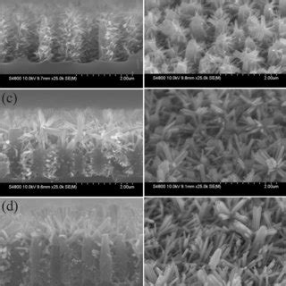 Cross Sectional And Tilted Top View SEM Images Of The Si Pillars With