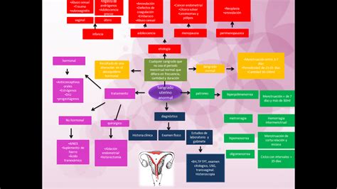 Ginecología Y Obstetricia De Villa Blog Tarea 41 Sangrado Uterino Anormal