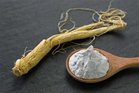 Le Ginseng Est Il Bon Pour Vous Cultiver Du Ginseng Comme Plante