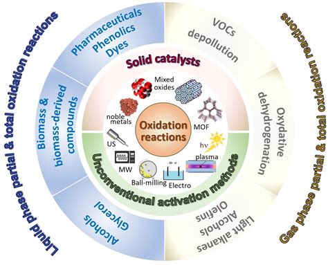 What Is Catalysis In Biology