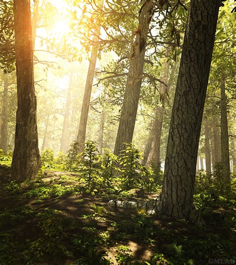 The Forest 3d Render Digital Art By Gmartworks