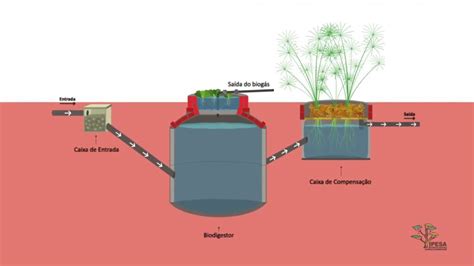 Como Funciona um Biodigestor para Efluentes Sanitários Conambe