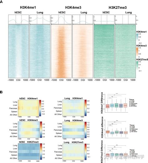 Cell Biosci︱中山大学李昕 蒋璇团队揭示在发育过程中组蛋白修饰h3k4me1在二价启动子上的新作用 知乎