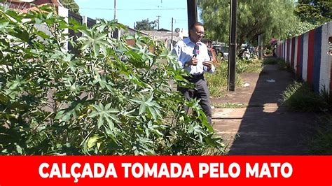 Cal Ada Tomada Pelo Mato Em Frente Escola Municipal Em Apucarana Youtube