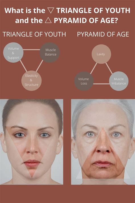 What Is The Triangle Of Youth And The Pyramid Of Age Facial Therapy