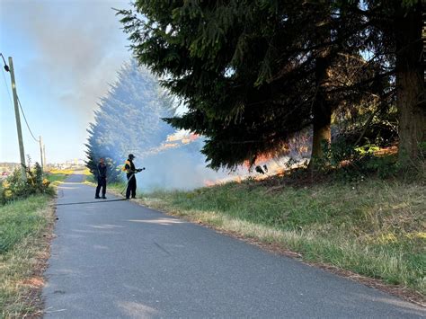 Nanaimo Fire Crews Quickly Knock Down Fast Moving Brush Fire Along E N