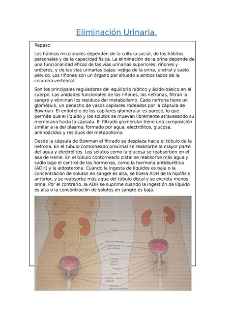 Eliminación Urinaria Resumenes de clases Eliminación Urinaria