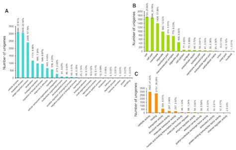 The Top Represented Go Term Categories In Each Of The Three Major Go