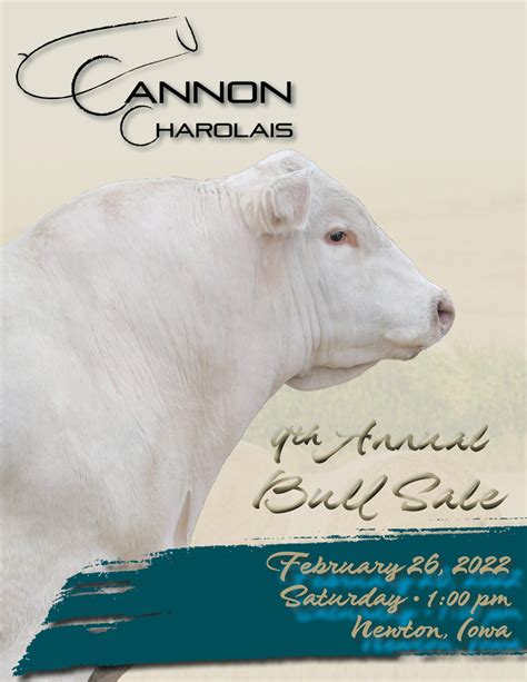 Charolais Bull Catalogue Catalog Library