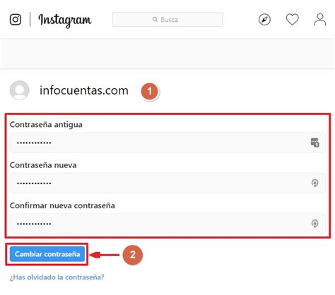 Resumen de 28 artículos como saber la contraseña de un instagram