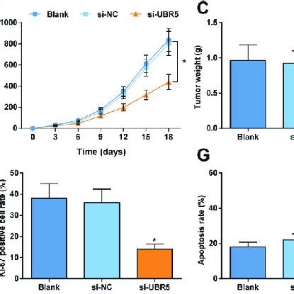 Downregulating Ubr Impedes Gliomas Tumor Growth In Mice A Tumors Of