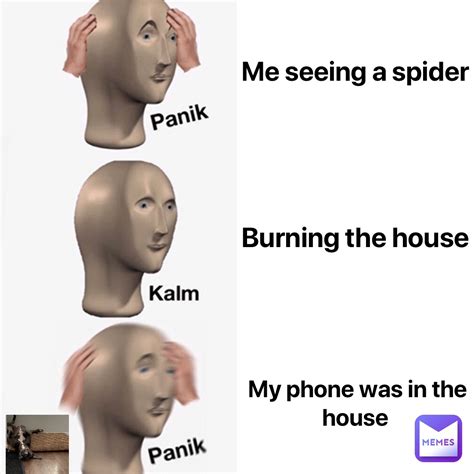 Spider Meme Burn House