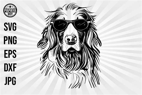 Golden Retriever Wearing Sunglasses Graphic By Papaya Woy Creative