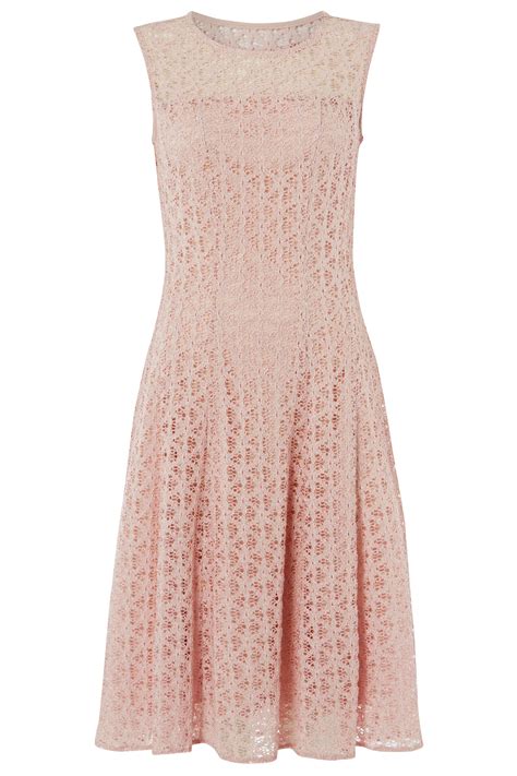 Lace Fit And Flare Dress In Light Pink Roman Originals Uk