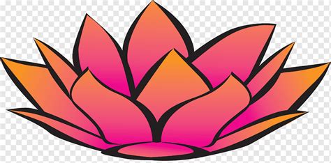 Nelumbo Nucifera Symbol Flower Lotus Leaf Symmetry Flower Png Pngwing