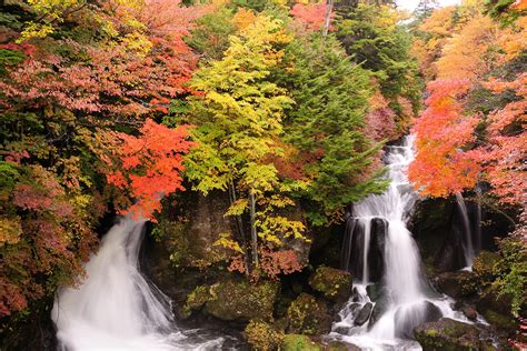 東武鉄道、日光エリアの紅葉情報を公開中。いろは坂など紅葉の見ごろは10月中旬 トラベル Watch