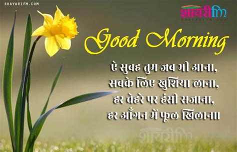 Good Morning Shayari In Hindi For Friend Image Hd Infoupdate Org