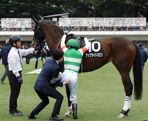 東京競馬場でかわいいお馬さん発見！ お馬さんジェムの一口馬主ブログ