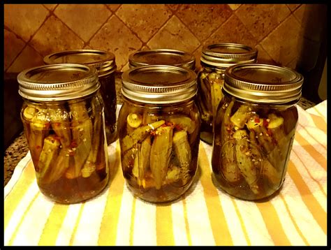 Pickled Okra or Okra Pickles! - Gran Jan's JOY